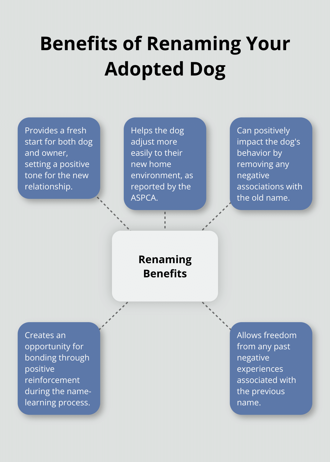 Hub and spoke chart showing benefits of renaming an adopted dog: fresh start, easier adjustment, positive impact on behavior, opportunity for bonding, and freedom from negative associations.