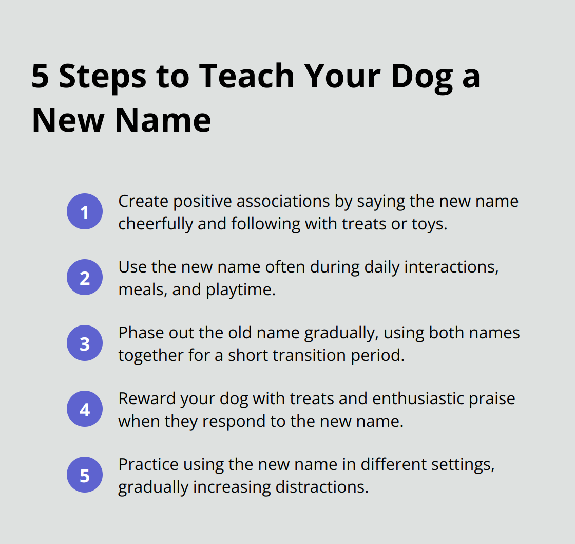 Compact ordered list chart showing 5 steps to teach a dog a new name: create positive associations, use the new name often, phase out the old name, reward with treats and praise, and practice in different settings. - can you change a dogs name when you adopt it