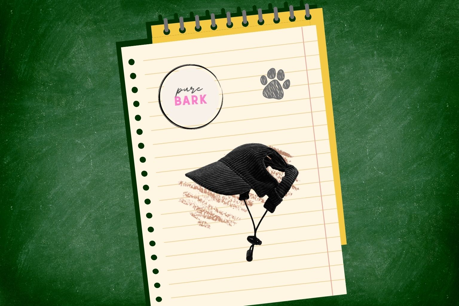 corduroy dog hat from Pure Bark