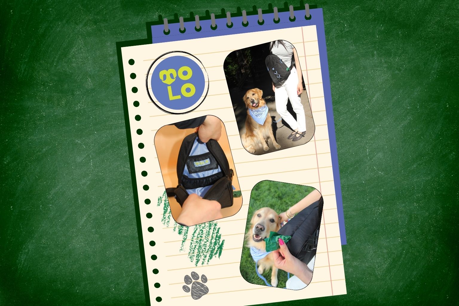 dog walking bag from Molo