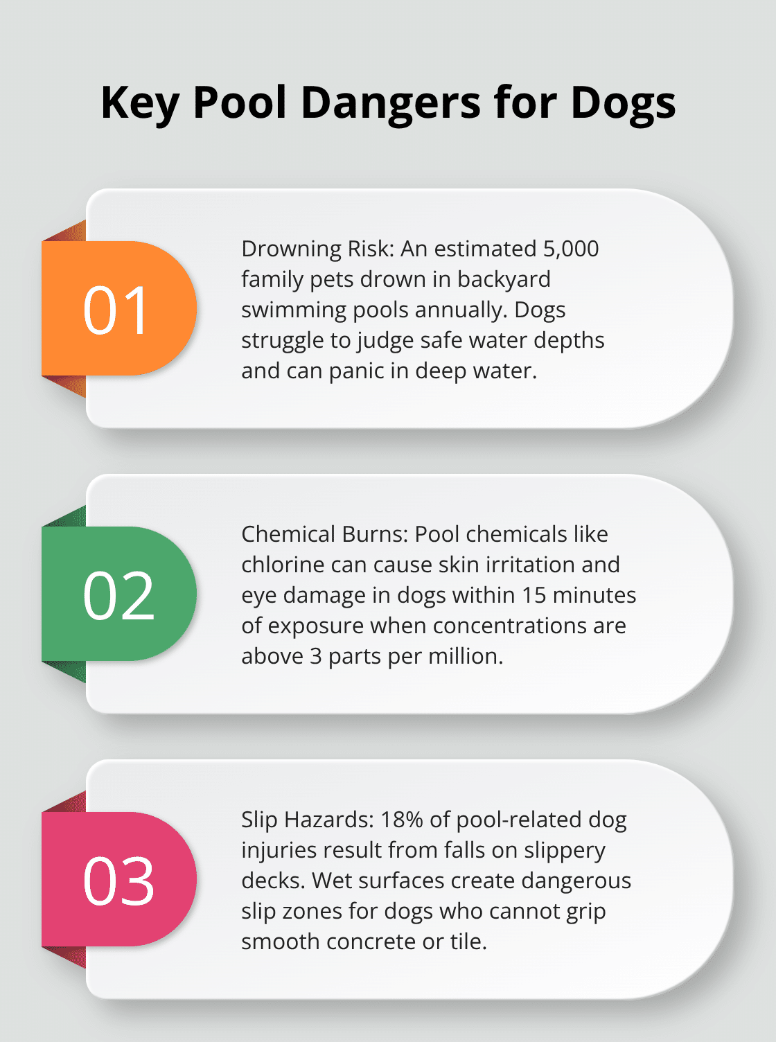 Chart listing three major pool dangers for dogs: drowning risk, chemical burns, and slip hazards