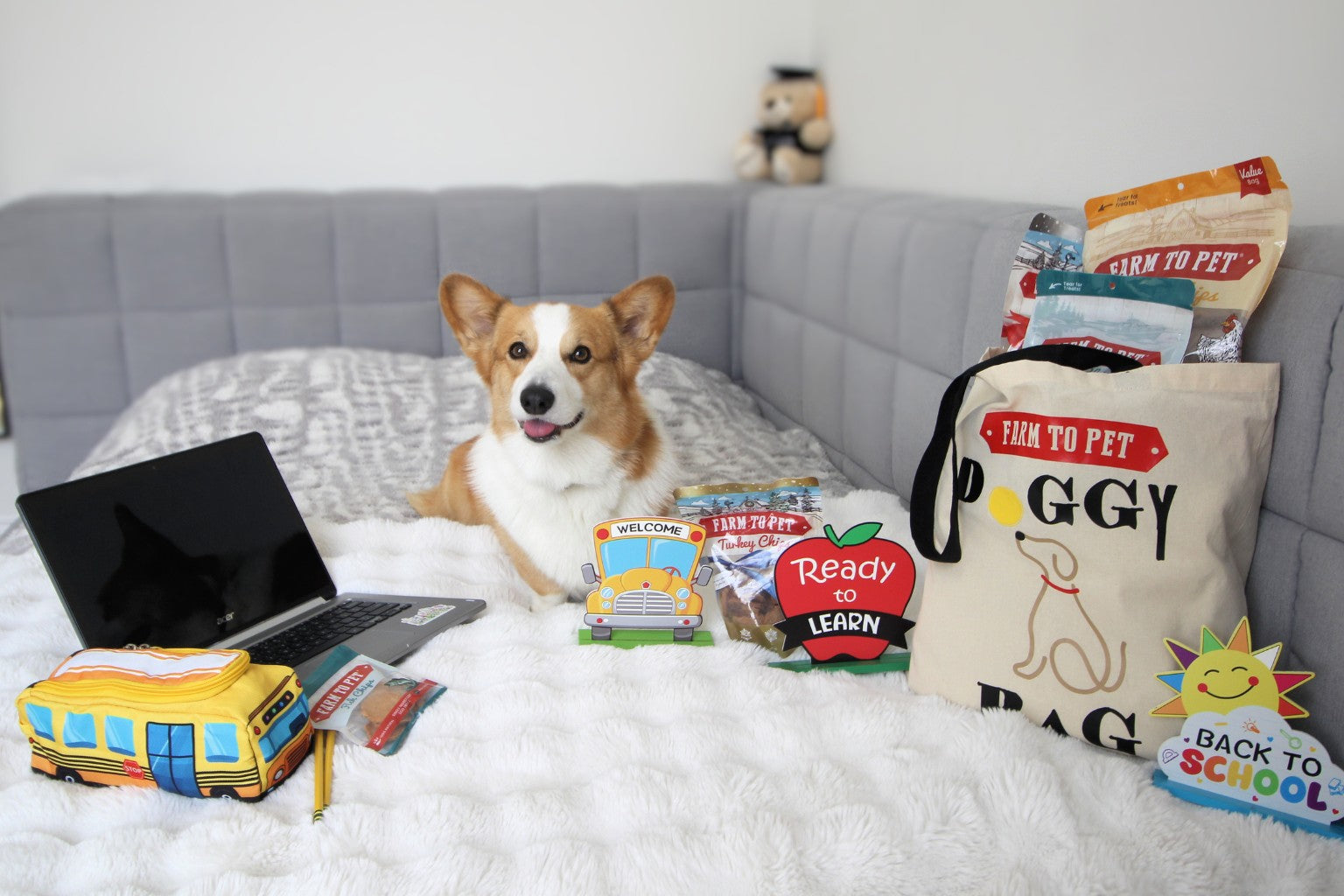 Corgi dog on a bed with a laptop surrounded by dog enrichment toys