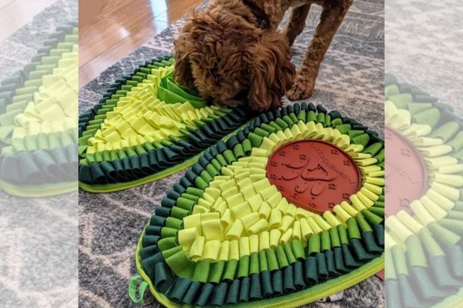 Brown dog with snuffle mats designed like avocado halves