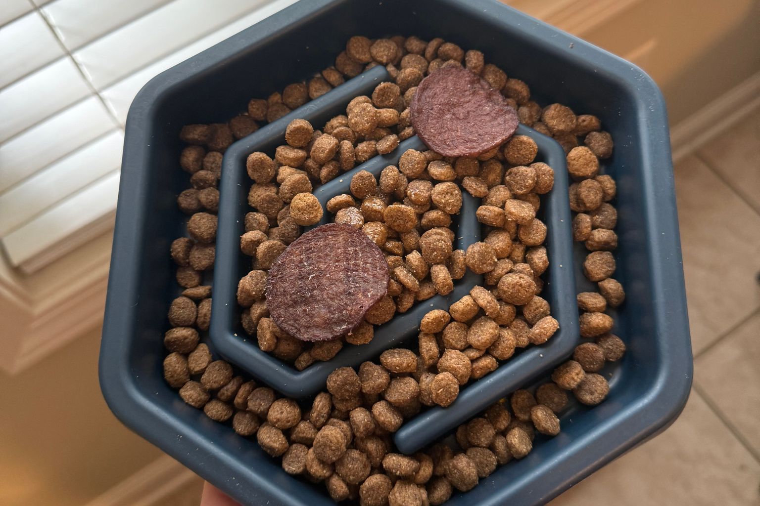 a blue maze slow feeder dog bowl with kibble and beef chips