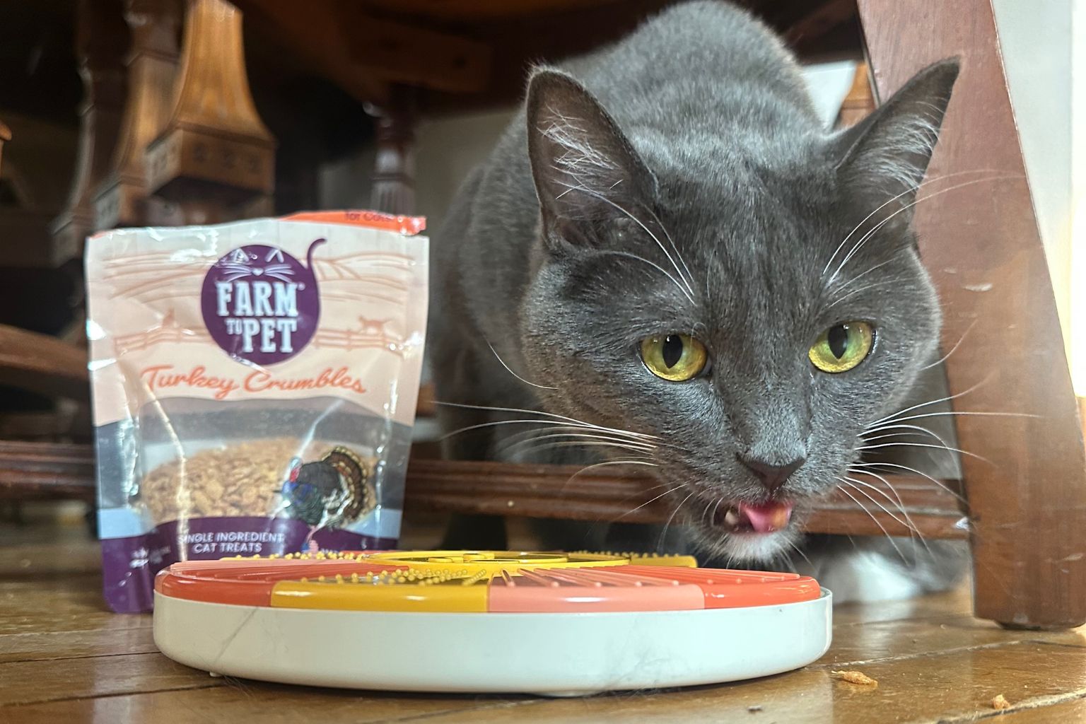 a cat eating farm to pet turkey crumbles from a puzzle slow feeder