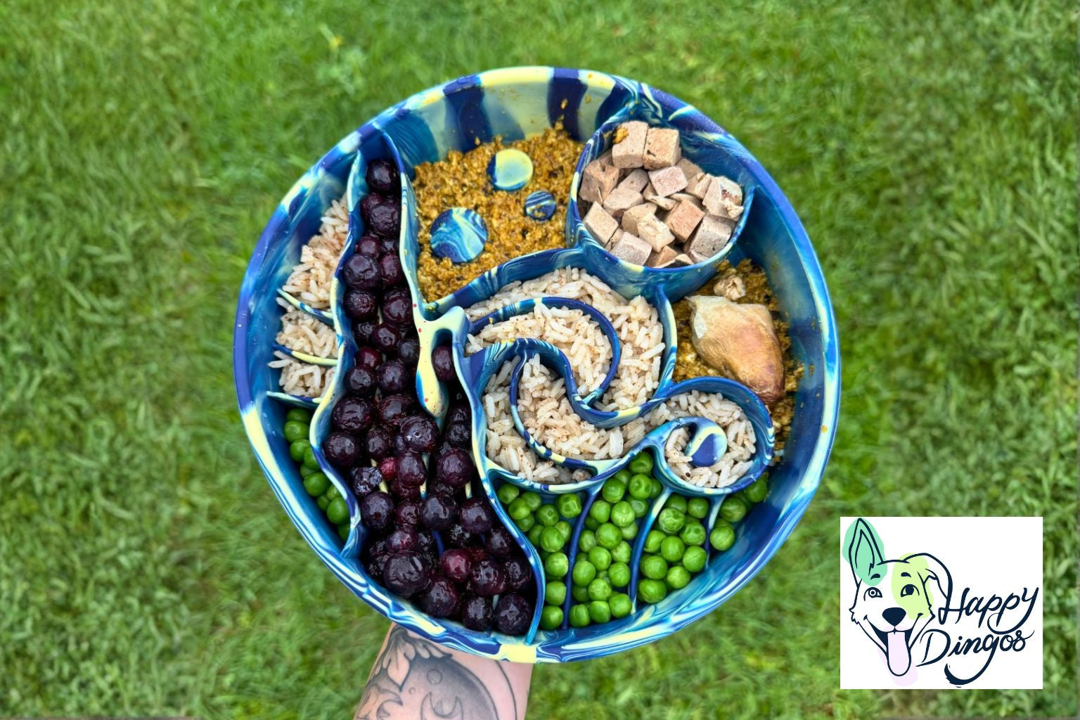 Gifts for Dogs from Happy Dingos