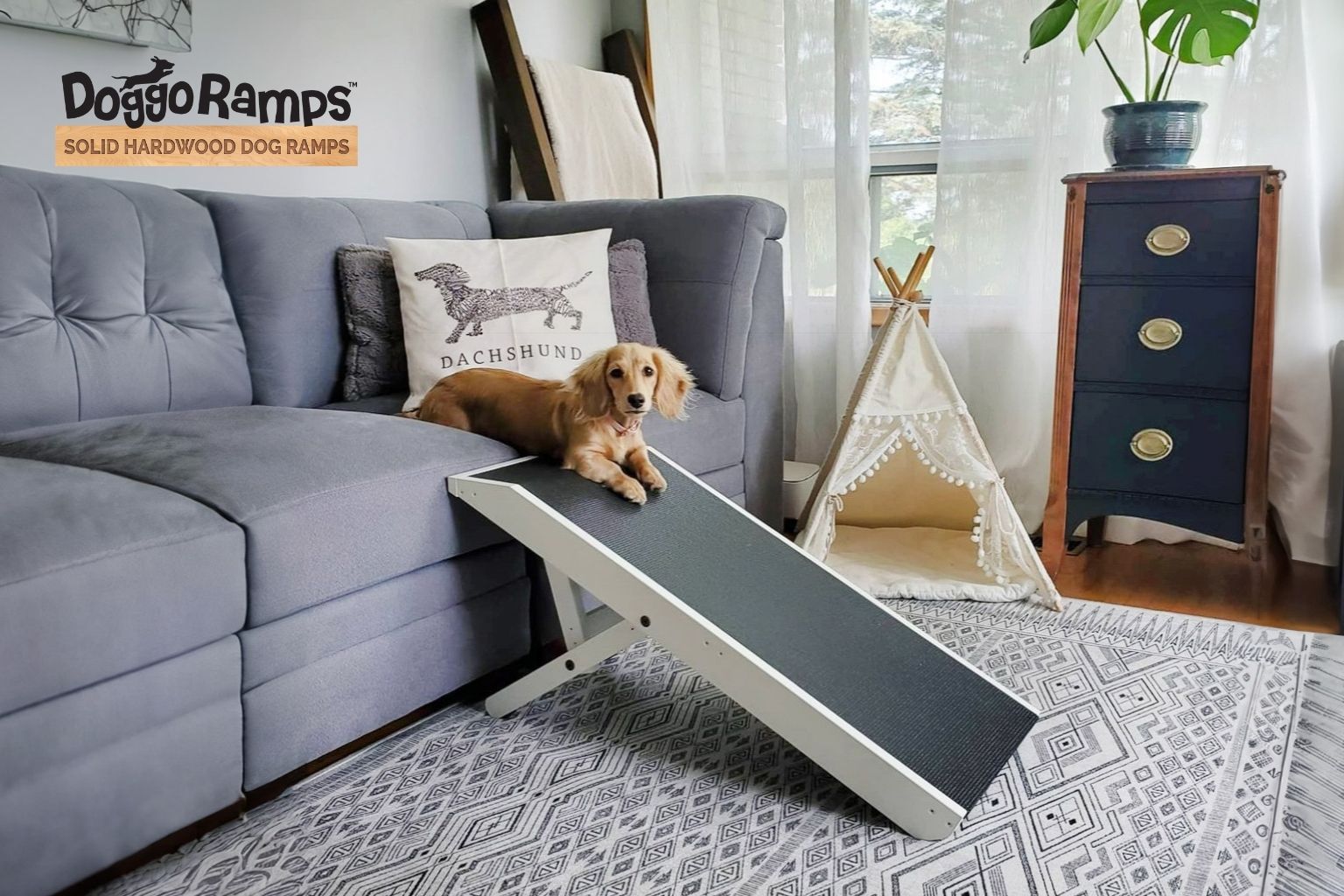 Dog Gifts from DoggoRamps