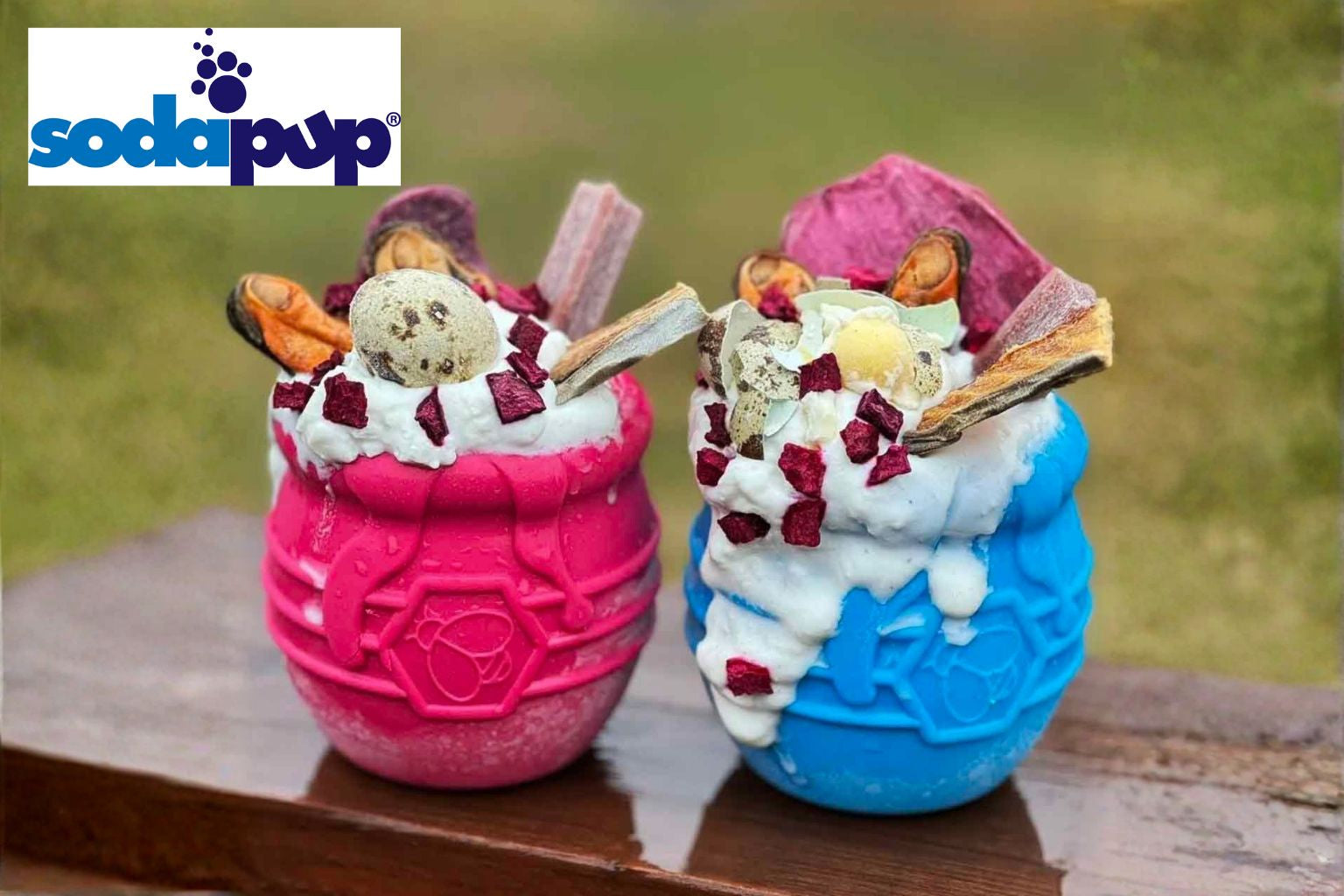 SodaPup Dog Enrichment Gifts